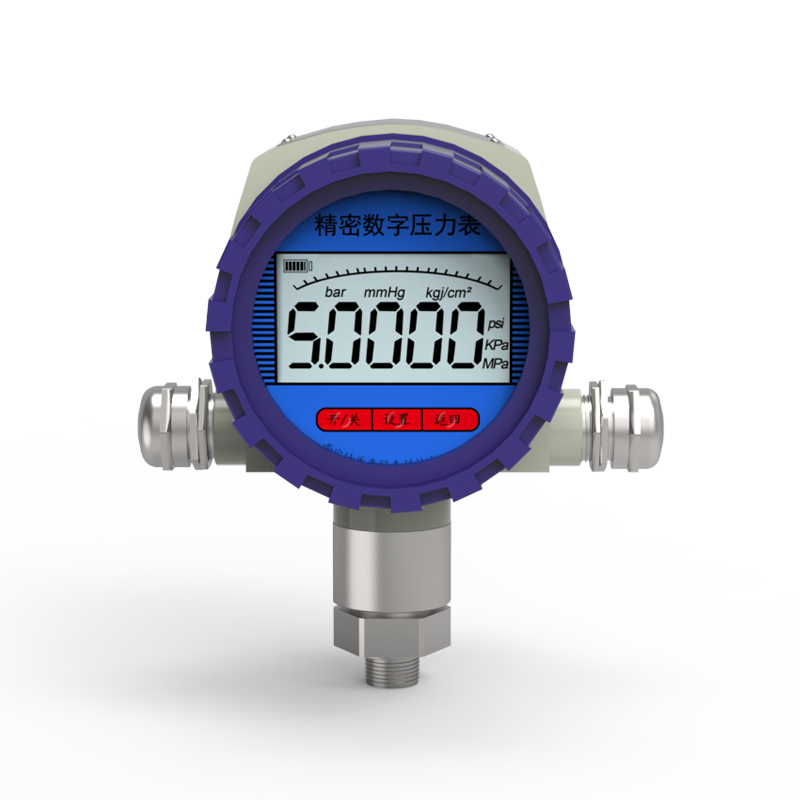 防爆數(shù)字壓力表